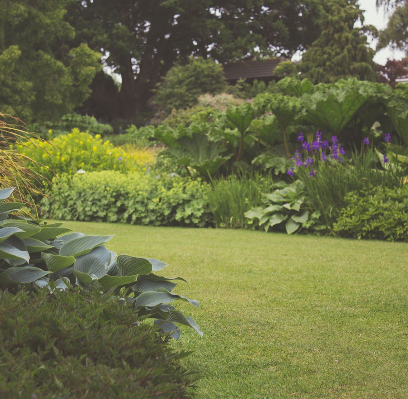 Beautifully maintained garden